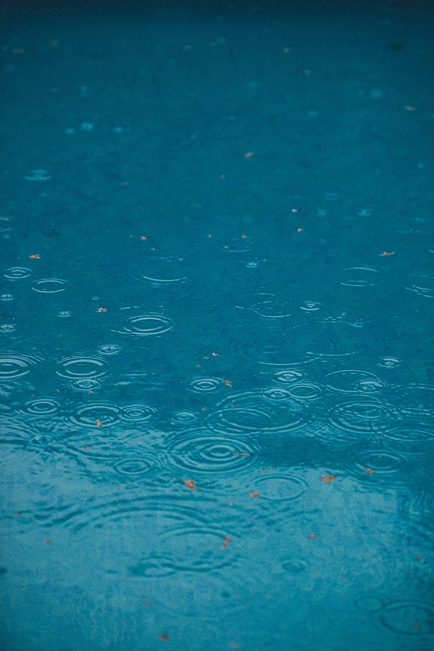 Rainfall Photo by JanFillem on Unsplash